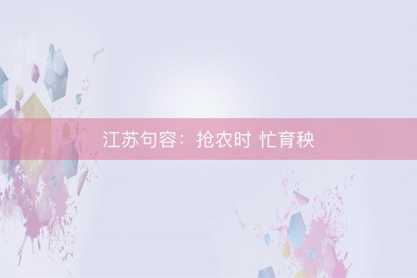 江苏句容：抢农时 忙育秧