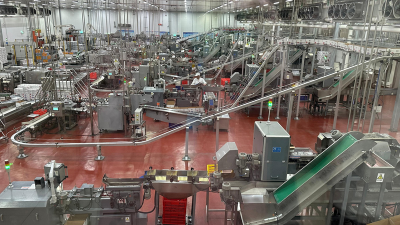 自动化设备与智能产线运转中。人民网记者 王绍绍摄