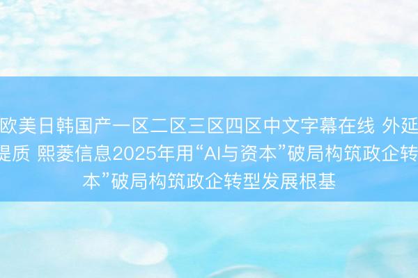 欧美日韩国产一区二区三区四区中文字幕在线 外延并购+内生提质 熙菱信息2025年用“AI与资本”破局构筑政企转型发展根基