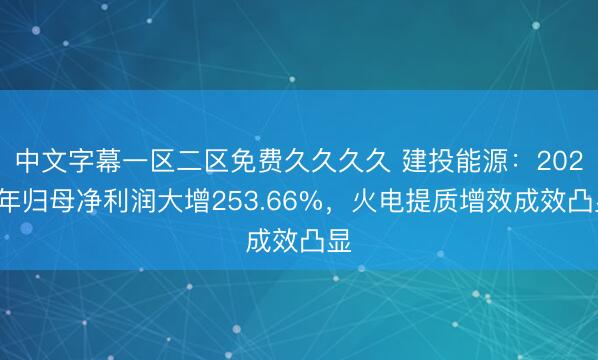中文字幕一区二区免费久久久久 建投能源：2025年归母净利润大增253.66%，火电提质增效成效凸显