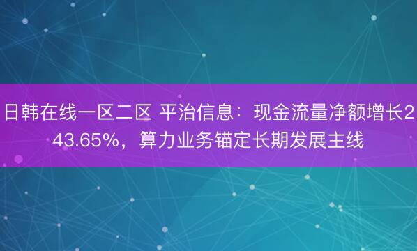 日韩在线一区二区 平治信息：现金流量净额增长243.65%，算力业务锚定长期发展主线