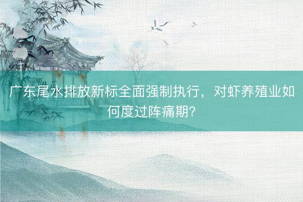 广东尾水排放新标全面强制执行，对虾养殖业如何度过阵痛期？