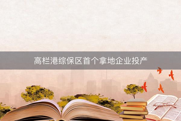 高栏港综保区首个拿地企业投产