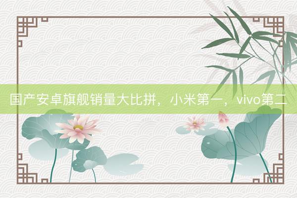 国产安卓旗舰销量大比拼，小米第一，vivo第二