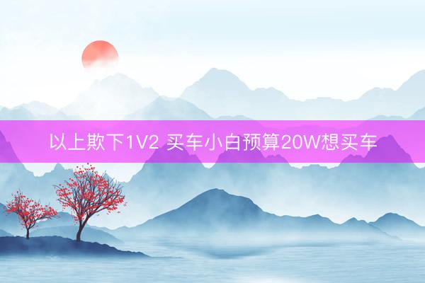 以上欺下1V2 买车小白预算20W想买车