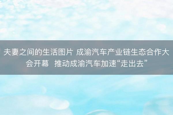 夫妻之间的生活图片 成渝汽车产业链生态合作大会开幕  推动成渝汽车加速“走出去”