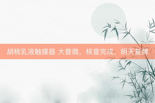 胡桃乳液触摸器 大普微，核查完成，明天复牌