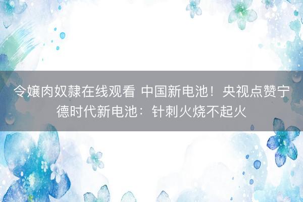 令嬢肉奴隷在线观看 中国新电池!央视点赞宁德时代新电池:针刺火烧不起火