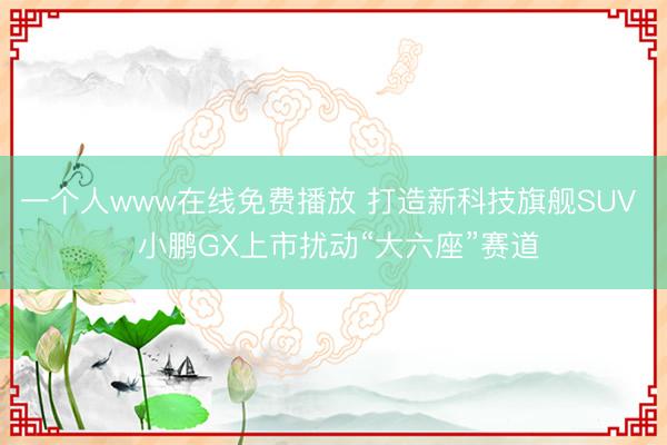 一个人www在线免费播放 打造新科技旗舰SUV 小鹏GX上市扰动“大六座”赛道