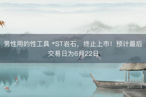 男性用的性工具 *ST岩石，终止上市！预计最后交易日为6月22日