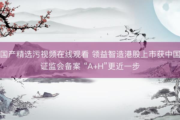 国产精选污视频在线观看 领益智造港股上市获中国证监会备案 “A+H”更近一步
