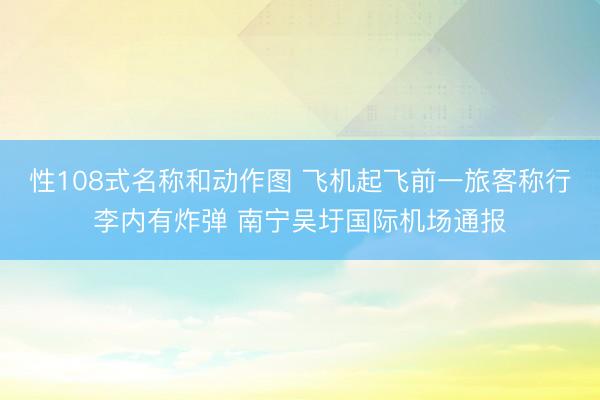 性108式名称和动作图 飞机起飞前一旅客称行李内有炸弹 南宁吴圩国际机场通报