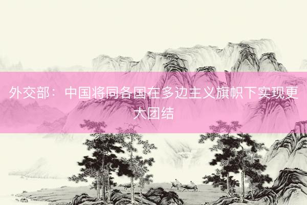 外交部：中国将同各国在多边主义旗帜下实现更大团结