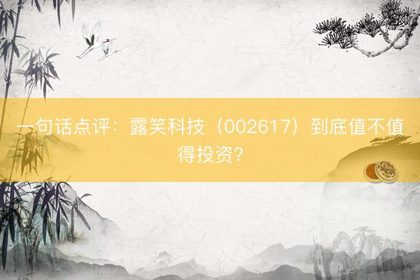一句话点评:露笑科技(002617)到底值不值得投资?