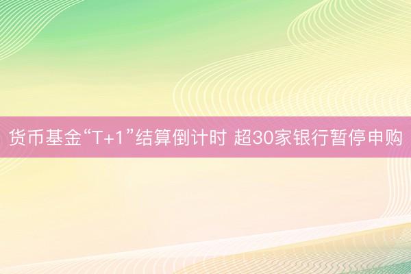 货币基金“T+1”结算倒计时 超30家银行暂停申购