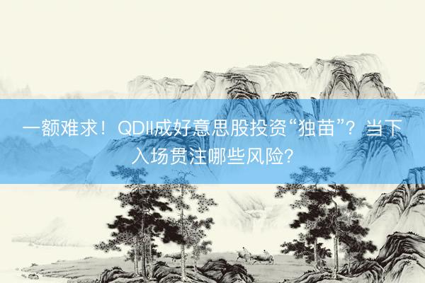 一额难求！QDII成好意思股投资“独苗”？当下入场贯注哪些风险？