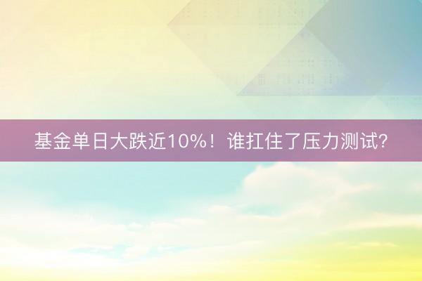基金单日大跌近10%！谁扛住了压力测试？