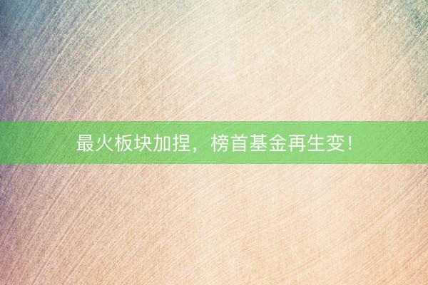 最火板块加捏，榜首基金再生变！