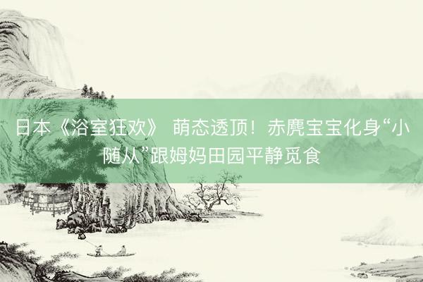 日本《浴室狂欢》 萌态透顶！赤麂宝宝化身“小随从”跟姆妈田园平静觅食