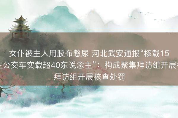 女仆被主人用胶布憋尿 河北武安通报“核载15东说念主公交车实载超40东说念主”：构成聚集拜访组开展核查处罚