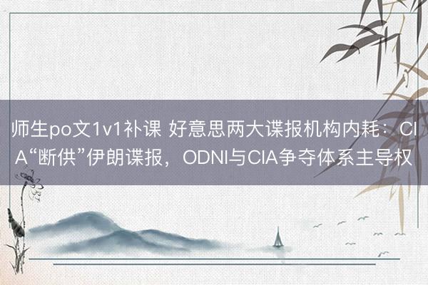 师生po文1v1补课 好意思两大谍报机构内耗：CIA“断供”伊朗谍报，ODNI与CIA争夺体系主导权