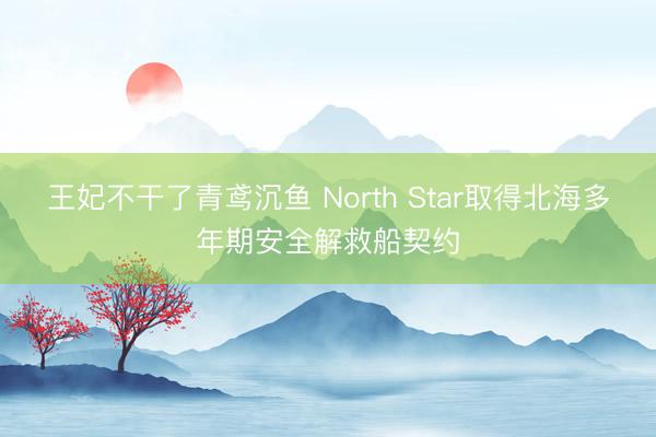 王妃不干了青鸢沉鱼 North Star取得北海多年期安全解救船契约