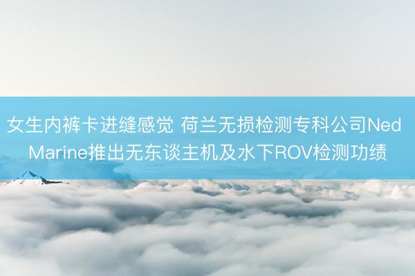 女生内裤卡进缝感觉 荷兰无损检测专科公司Ned Marine推出无东谈主机及水下ROV检测功绩