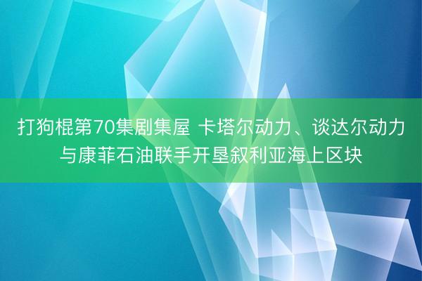 打狗棍第70集剧集屋 卡塔尔动力、谈达尔动力与康菲石油联手开垦叙利亚海上区块