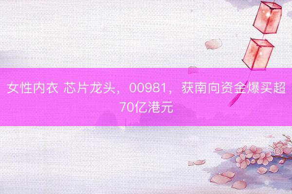 女性内衣 芯片龙头，00981，获南向资金爆买超70亿港元