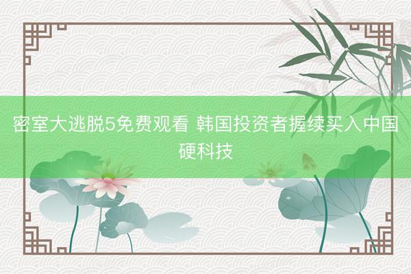 密室大逃脱5免费观看 韩国投资者握续买入中国硬科技