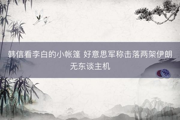 韩信看李白的小帐篷 好意思军称击落两架伊朗无东谈主机