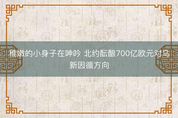 稚嫩的小身子在呻吟 北约酝酿700亿欧元对乌新因循方向