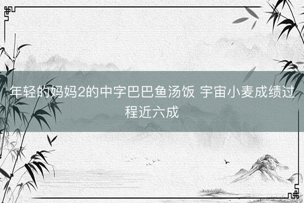 年轻的妈妈2的中字巴巴鱼汤饭 宇宙小麦成绩过程近六成