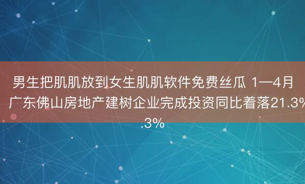 男生把肌肌放到女生肌肌软件免费丝瓜 1—4月，广东佛山房地产建树企业完成投资同比着落21.3%