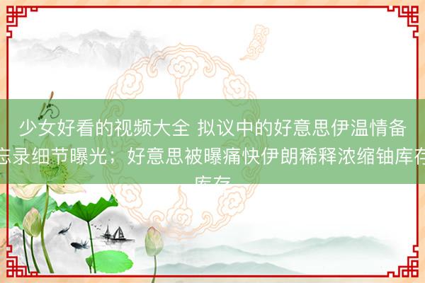 少女好看的视频大全 拟议中的好意思伊温情备忘录细节曝光；好意思被曝痛快伊朗稀释浓缩铀库存