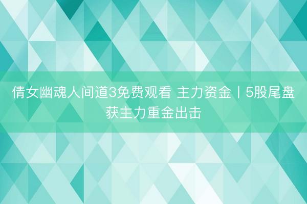倩女幽魂人间道3免费观看 主力资金丨5股尾盘获主力重金出击