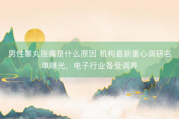 男性睾丸胀痛是什么原因 机构最新重心调研名单曝光，电子行业备受调养