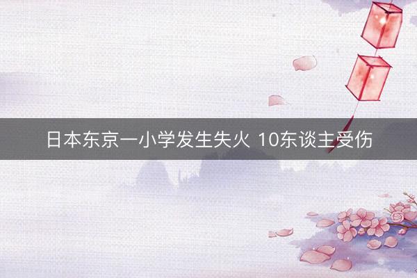 日本东京一小学发生失火 10东谈主受伤